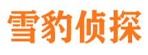 稻城外遇出轨调查取证